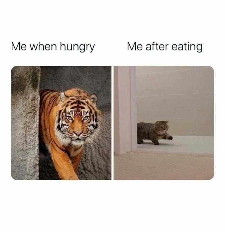 Me when hungry Me after eating