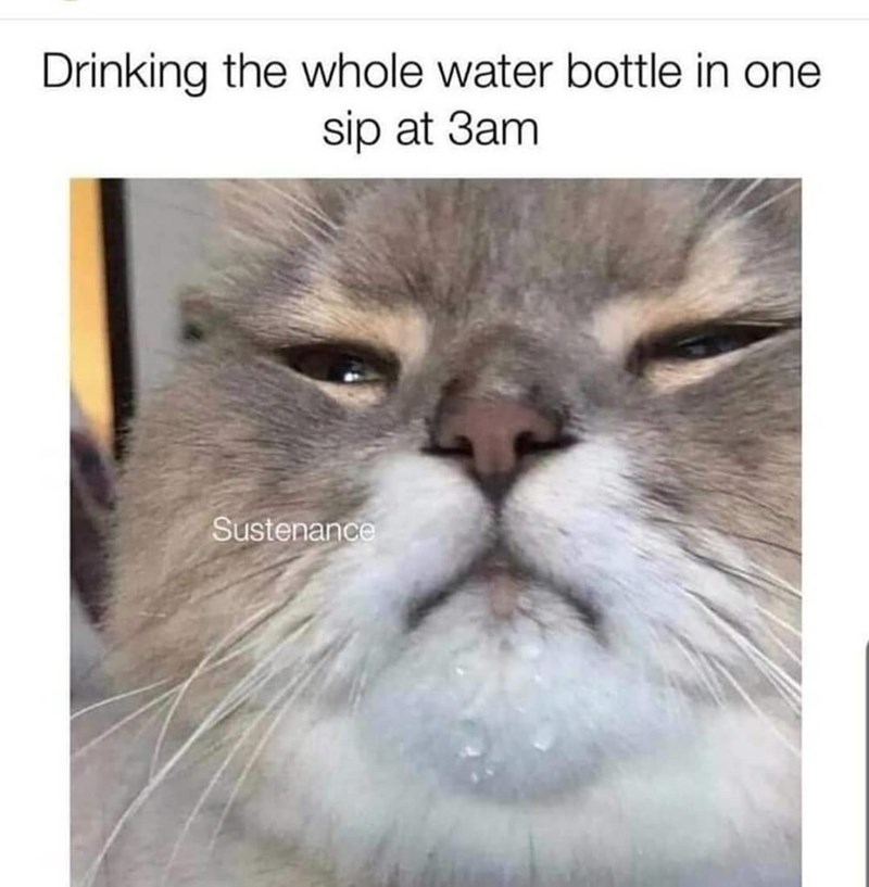 Drinking the whole water bottle in one sip at 3am Sustenance