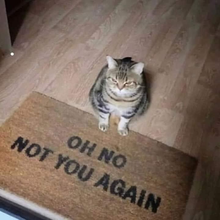 OH NO NOT YOU AGAIN