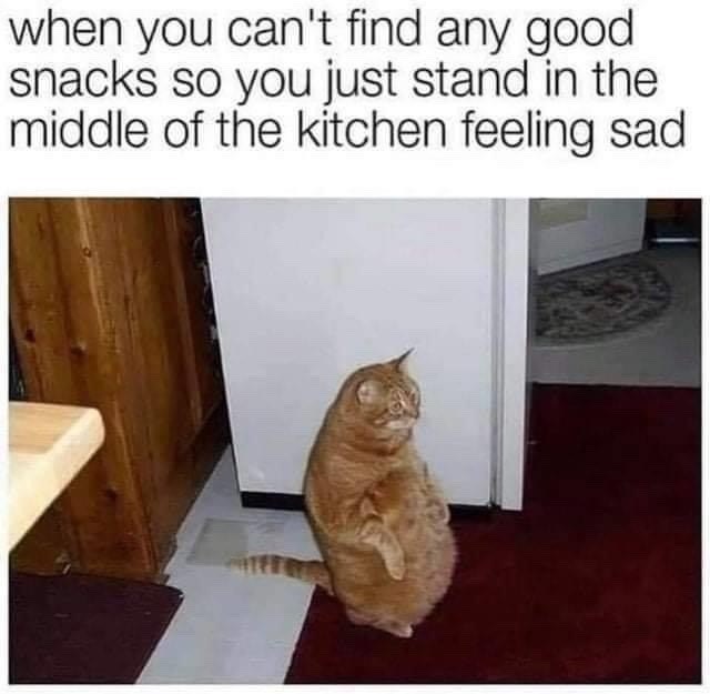 when you can't find any good snacks so you just stand in the middle of the kitchen feeling sad