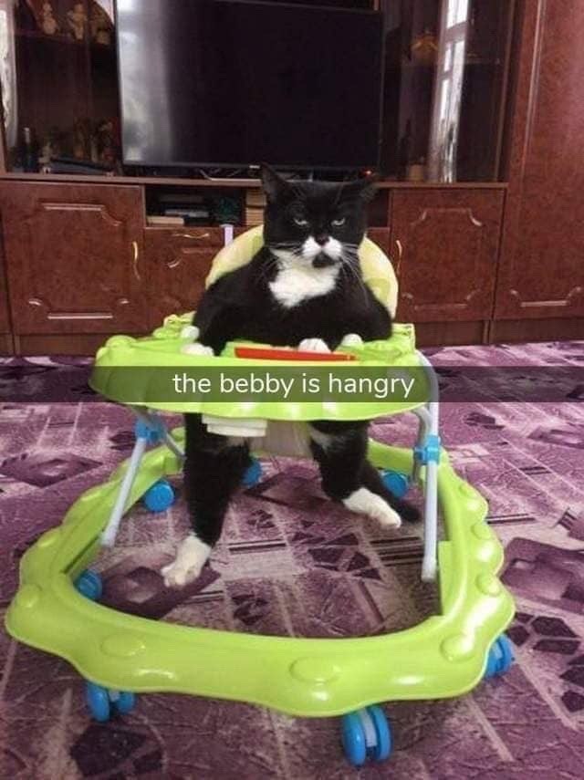 the bebby is hangry