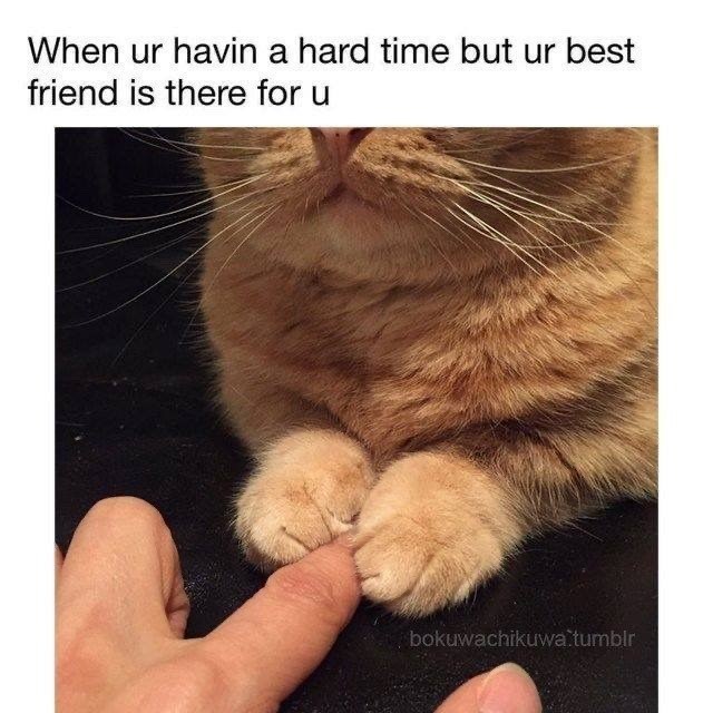 When ur havin a hard time but ur best friend is there for u bokuwachikuwa.tumblr