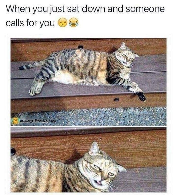 When you just sat down and someone calls for you Ownage Pranks.com