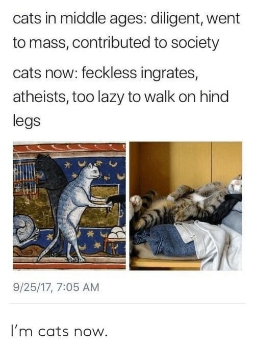 cats in middle ages: diligent, went to mass, contributed to society cats now: feckless ingrates, atheists, too lazy to walk on hind legs 9/25/17, 7:05 AM I'm cats now.