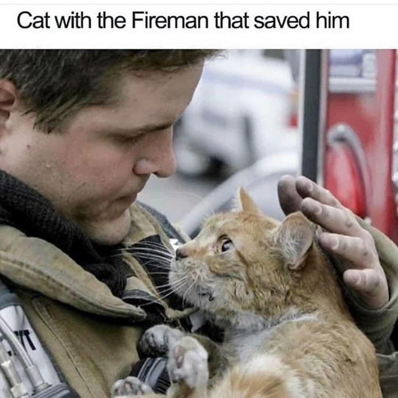 Cat with the Fireman that saved him