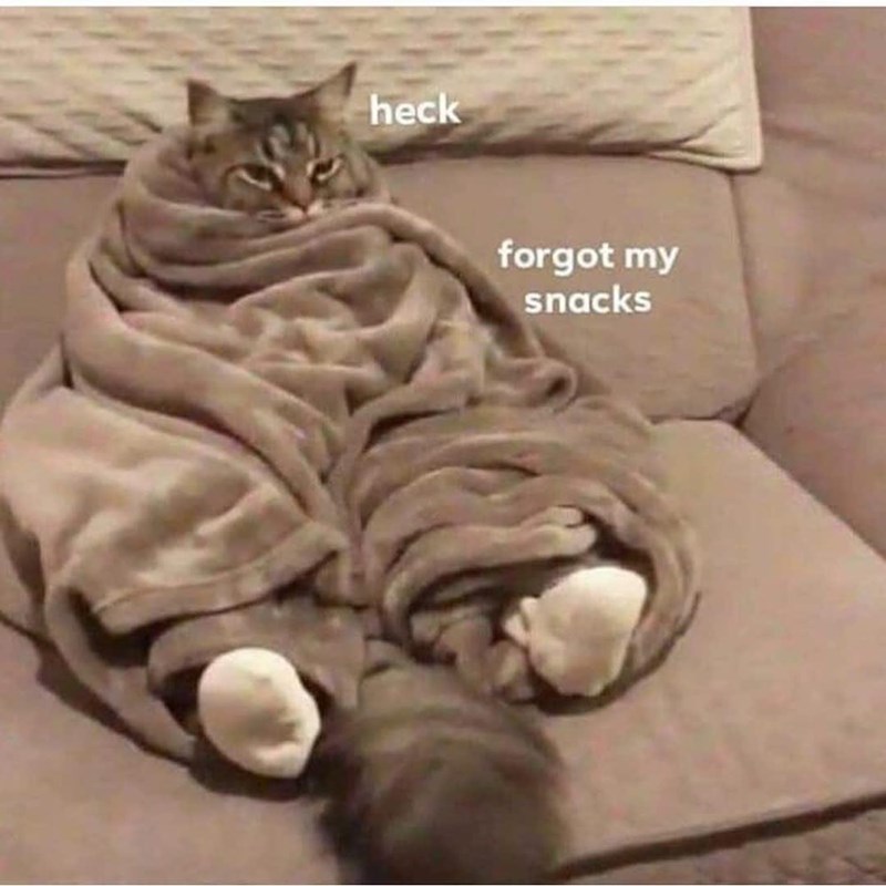 heck forgot my snacks