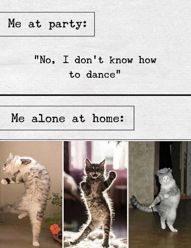 Me at party: "No, I don't know how to dance" Me alone at home: