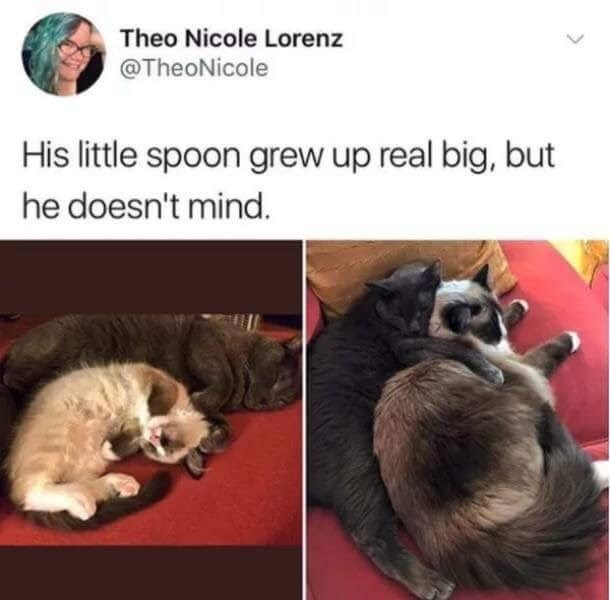 Theo Nicole Lorenz @TheoNicole His little spoon grew up real big, but he doesn't mind.