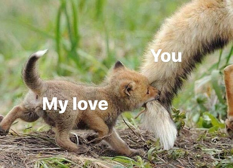 My love You