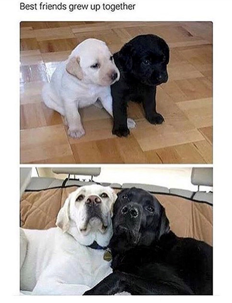 Best friends grew up together