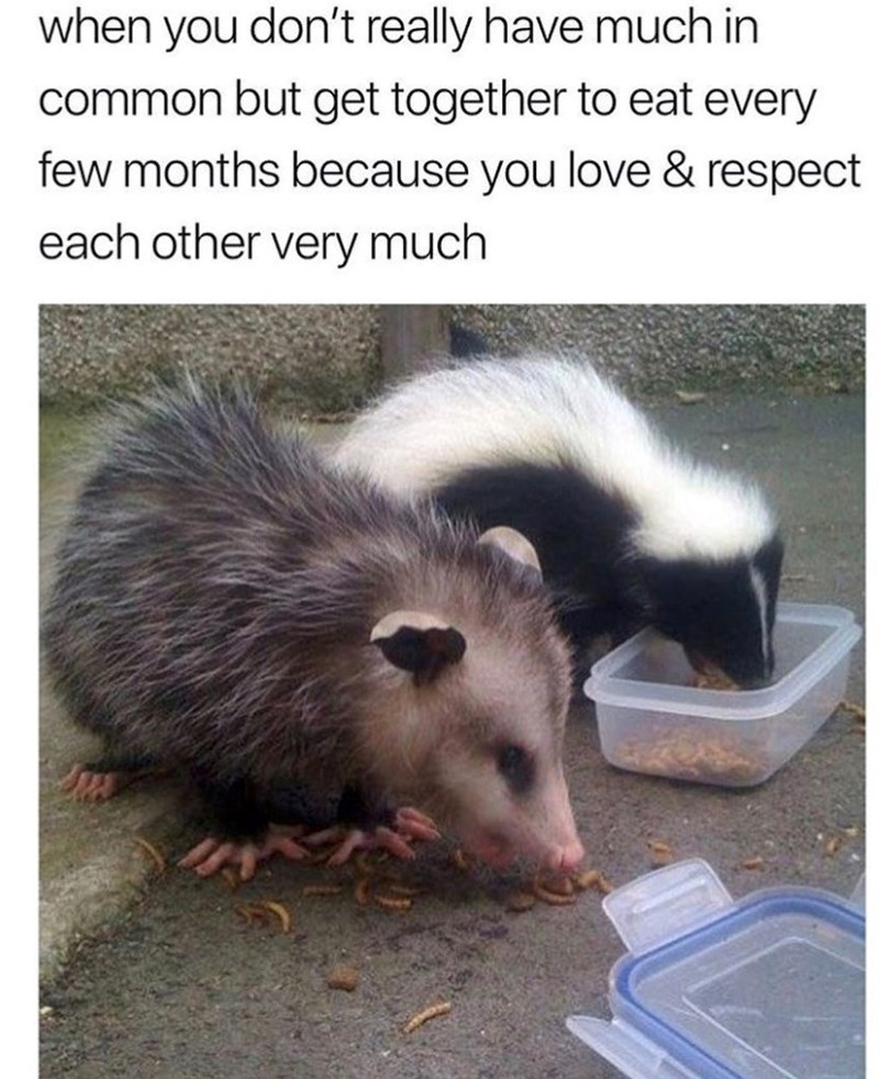 when you don't really have much in common but get together to eat every few months because you love & respect each other very much