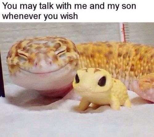 You may talk with me and my son whenever you wish