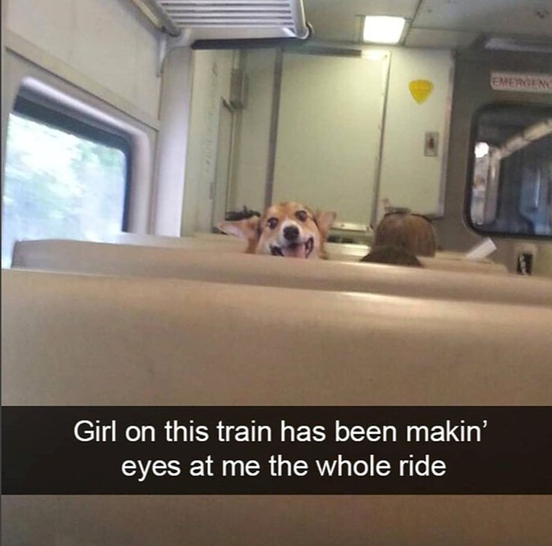 Girl on this train has been makin' eyes at me the whole ride EMERGEN