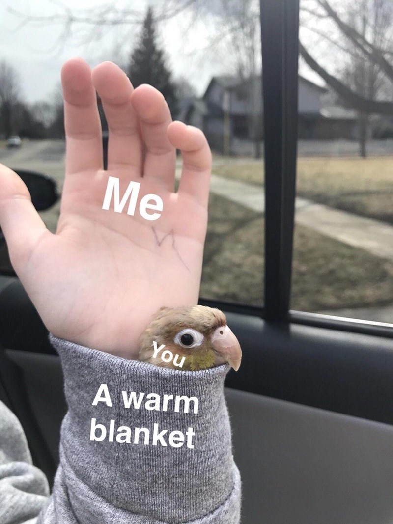 Me You A warm blanket