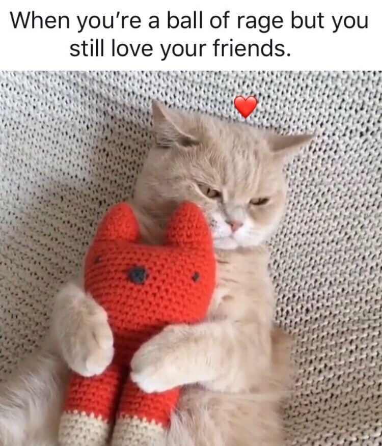 When you're a ball of rage but you still love your friends.