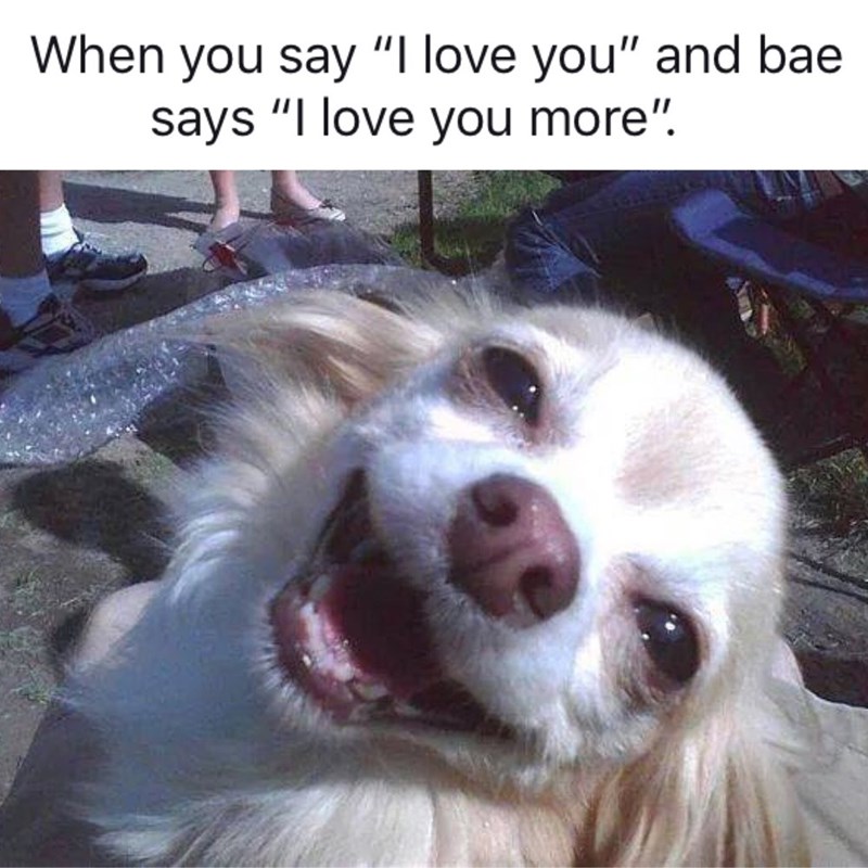 When you say "I love you" and bae says "I love you more".
