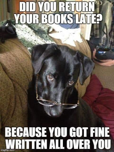 DID YOU RETURN YOUR BOOKS LATE? BECAUSE YOU GOT FINE WRITTEN ALL OVER YOU imgflip.com