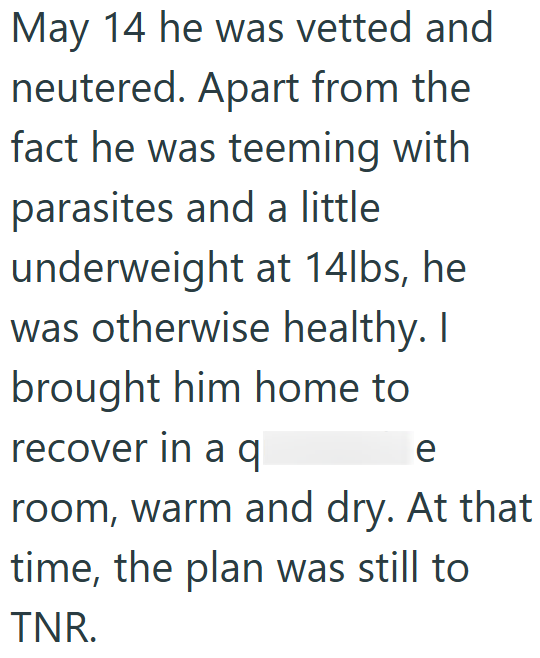 May 14 he was vetted and neutered. Apart from the fact he was teeming with parasites and a little underweight at 14lbs, he was otherwise healthy. I brought him home to recover in a q e room, warm and dry. At that time, the plan was still to TNR.
