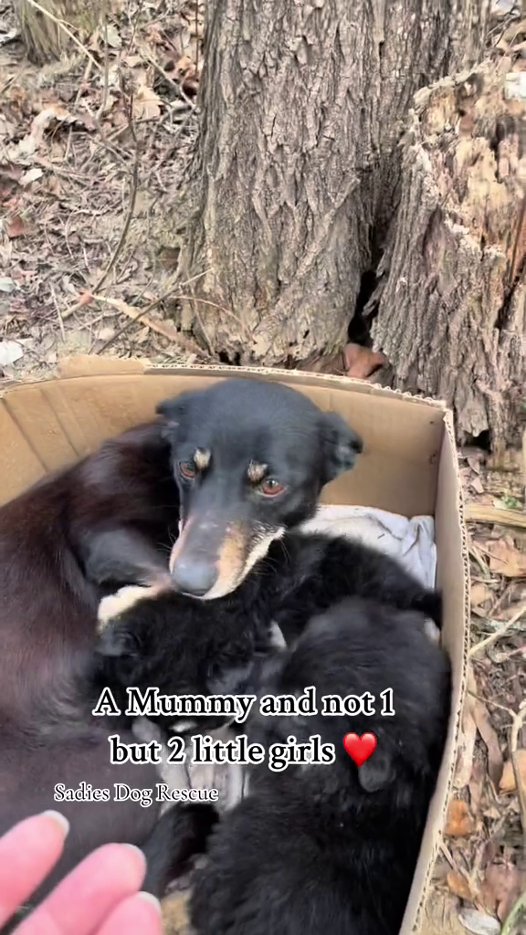A Mummy and not 1 but 2 little girls Sadies Dog Rescue