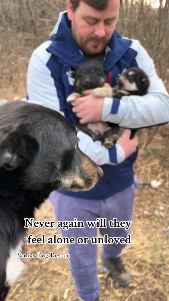 Never again will they feel alone or unloved Sadies Dog Rescue