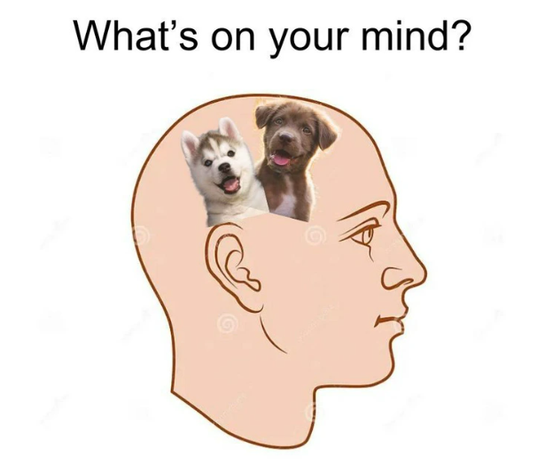 What's on your mind? 9