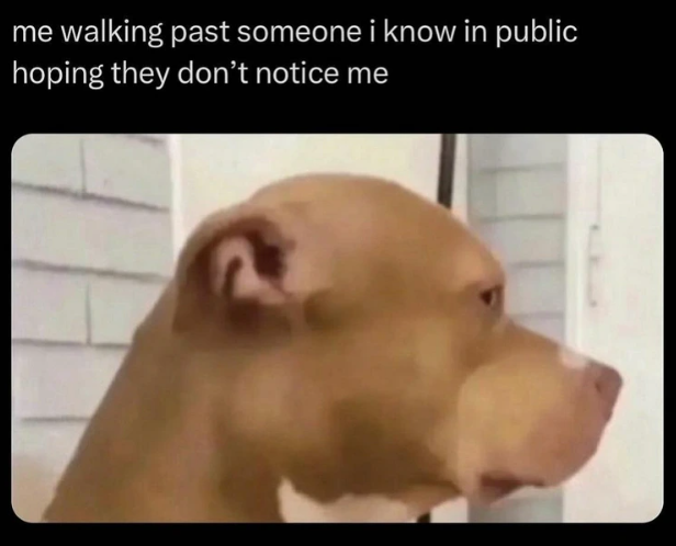 me walking past someone i know in public hoping they don't notice me