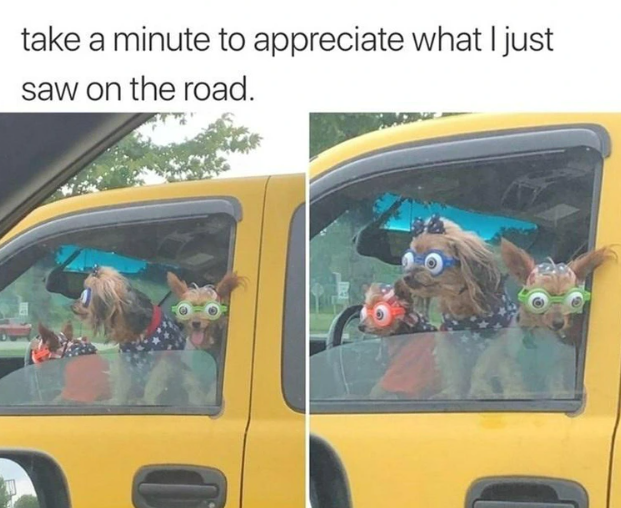 take a minute to appreciate what I just saw on the road.