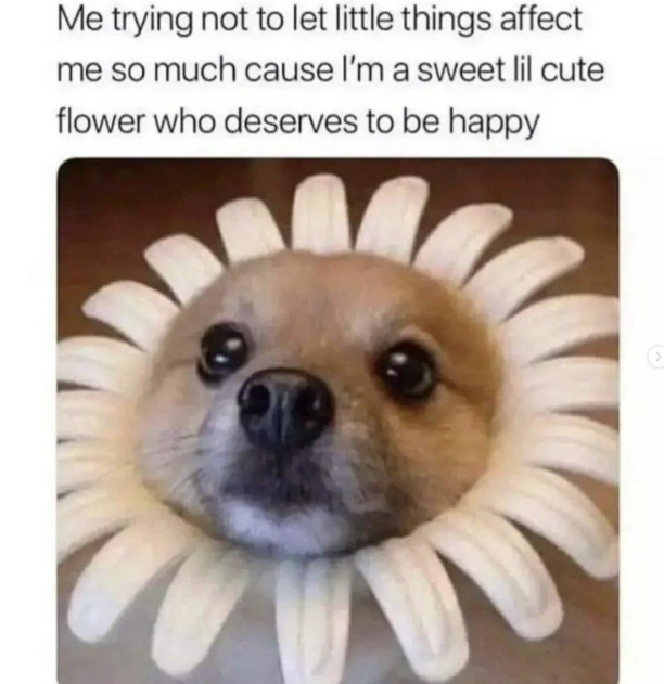 Me trying not to let little things affect me so much cause I'm a sweet lil cute flower who deserves to be happy