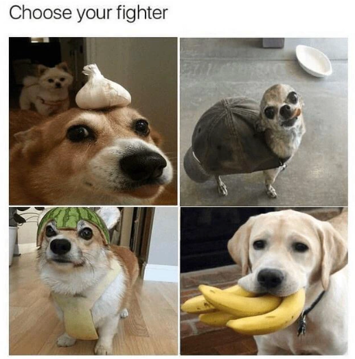 Choose your fighter