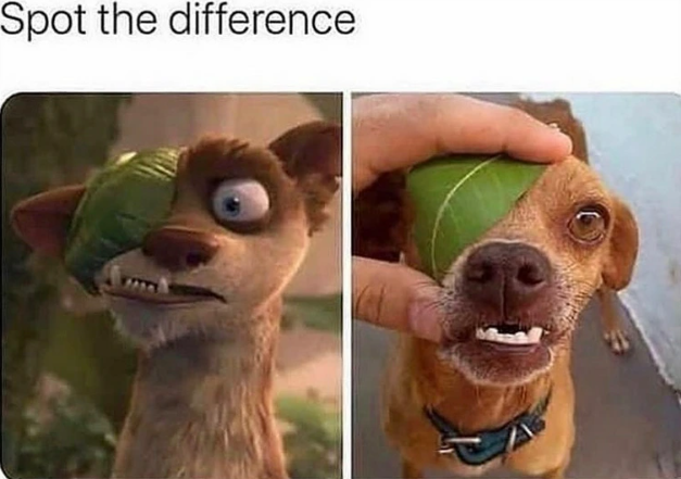 Spot the difference