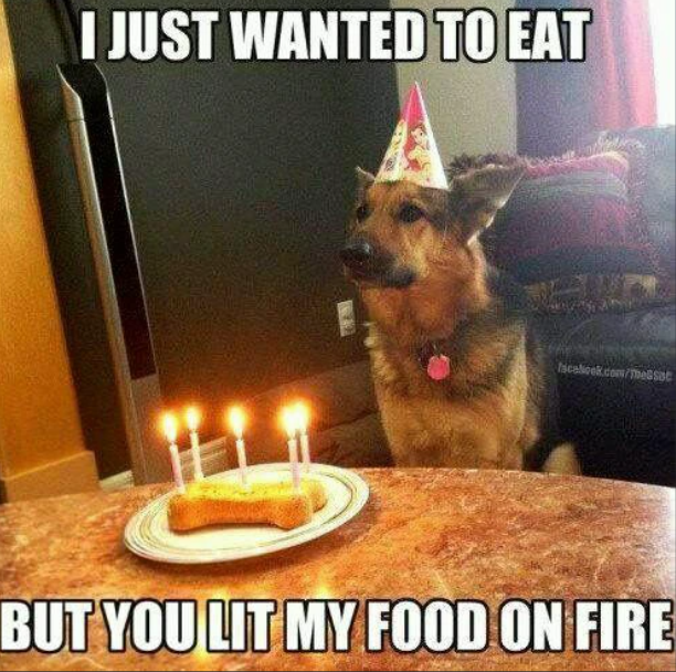 I JUST WANTED TO EAT facebook.com/me&Sot BUT YOU LIT MY FOOD ON FIRE