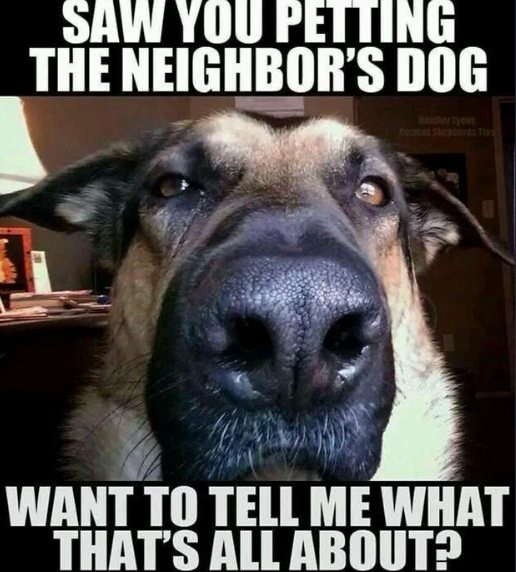 SAW YOU PETTING THE NEIGHBOR'S DOG Heather tyent WANT TO TELL ME WHAT THAT'S ALL ABOUT?