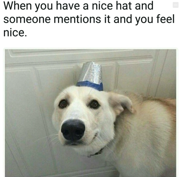 When you have a nice hat and someone mentions it and you feel nice.
