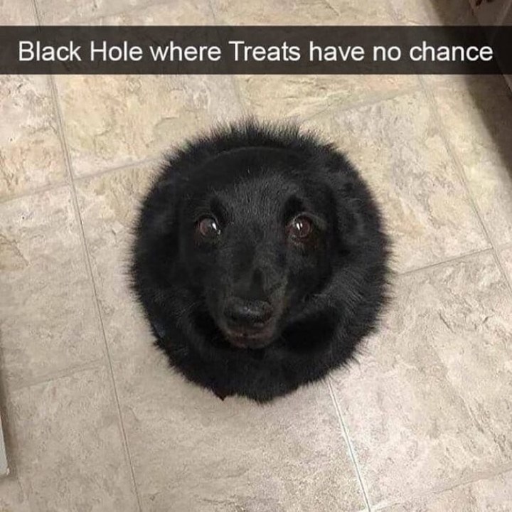 Black Hole where Treats have no chance