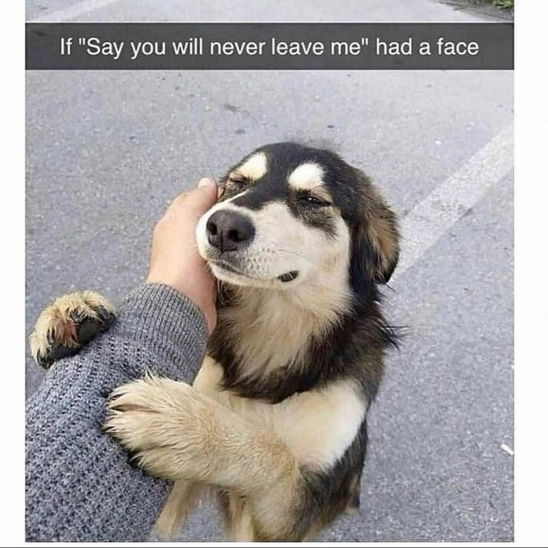 If "Say you will never leave me" had a face