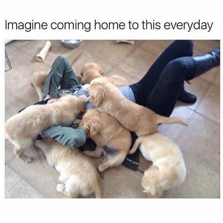 Imagine coming home to this everyday
