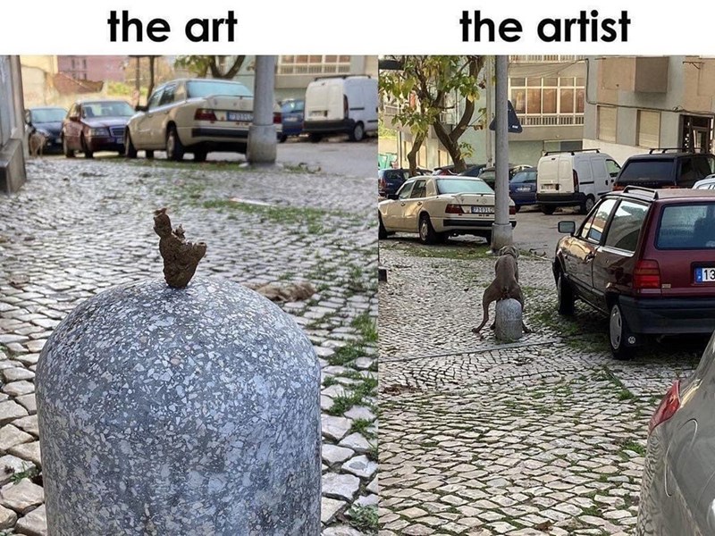 the art the artist www 13