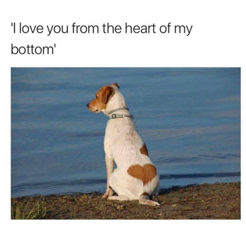 'I love you from the heart of my bottom'