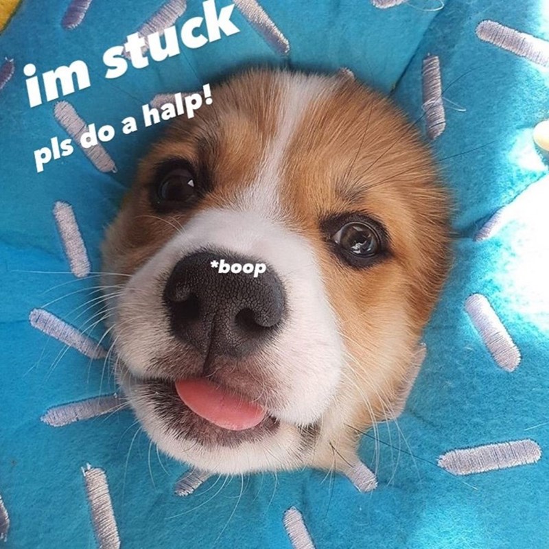 im stuck pls do a halp! *boop