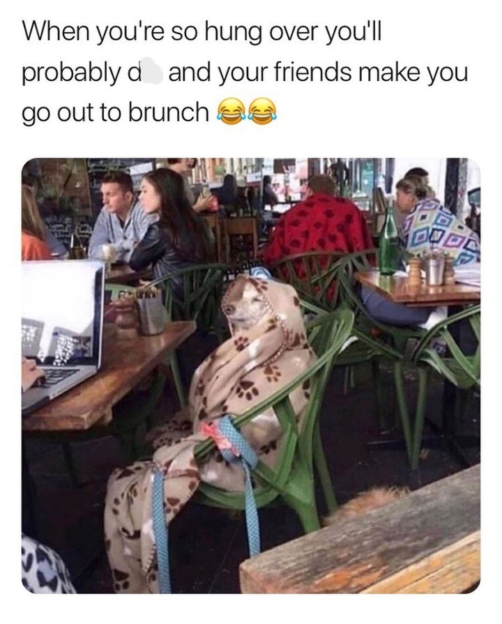 When you're so hung over you'll probably d and your friends make you go out to brunch
