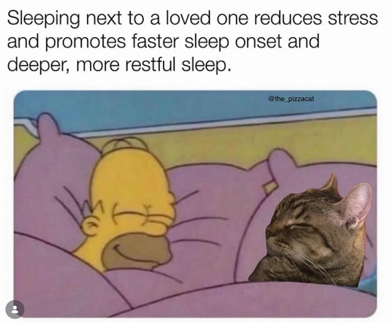 Sleeping next to a loved one reduces stress. and promotes faster sleep onset and deeper, more restful sleep. @the_pizzacat