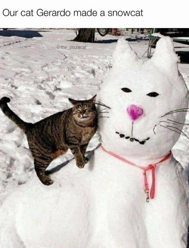 Our cat Gerardo made a snowcat @the_pizzacat