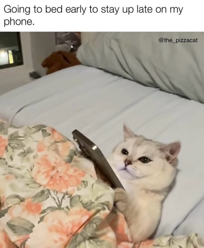 Going to bed early to stay up late on my phone. @the_pizzacat