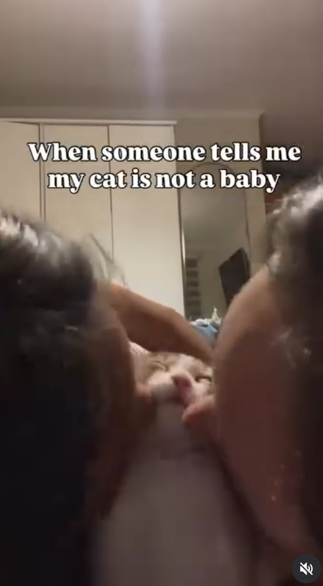 When someone tells me my cat is not a baby