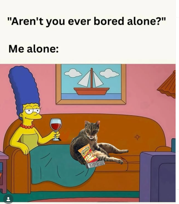 "Aren't you ever bored alone?" Me alone: Day Cheetas