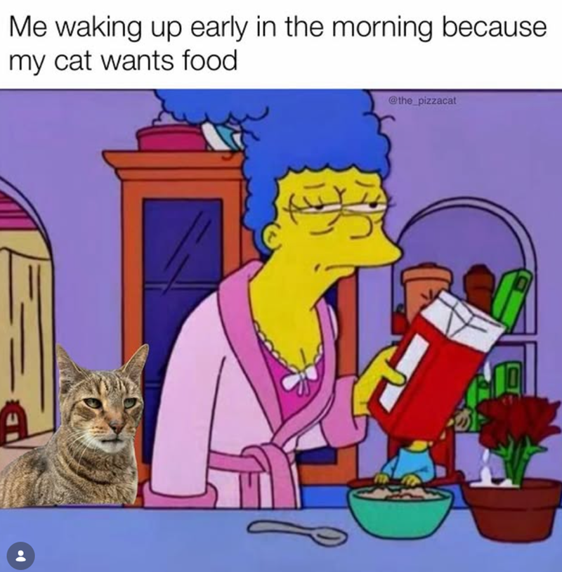 Me waking up early in the morning because my cat wants food @the_pizzacat