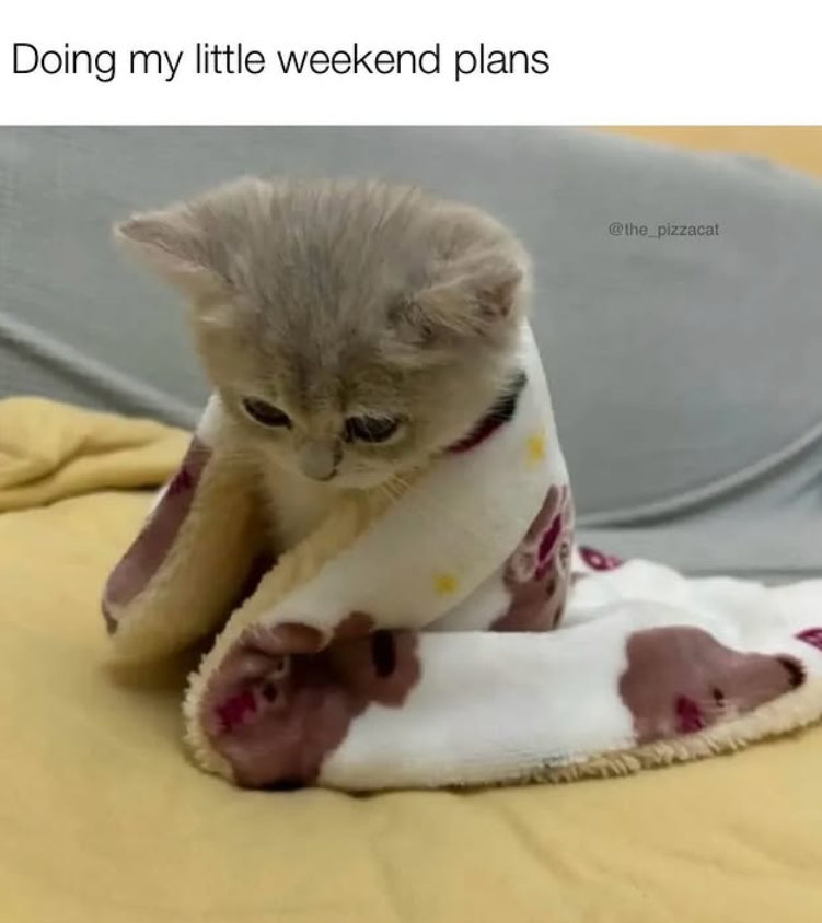 Doing my little weekend plans @the_pizzacat