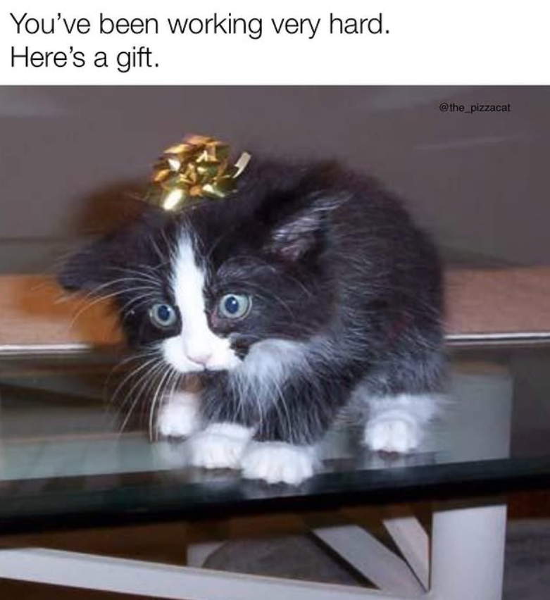 You've been working very hard. Here's a gift. @the_pizzacat