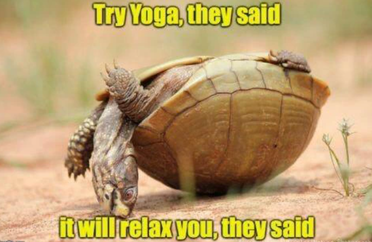 Try Yoga, they said it will relax you, they said