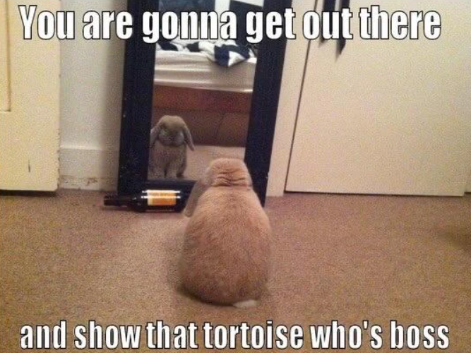 You are gonna get out there and show that tortoise who's boss